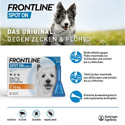 Frontline Spot On Hund L 20-40 kg