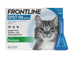 Frontline Spot on Katze