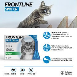 Frontline Spot on Katze