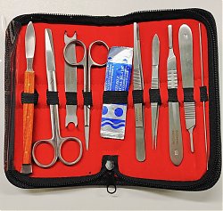 Sezier / Präparier Besteck Set